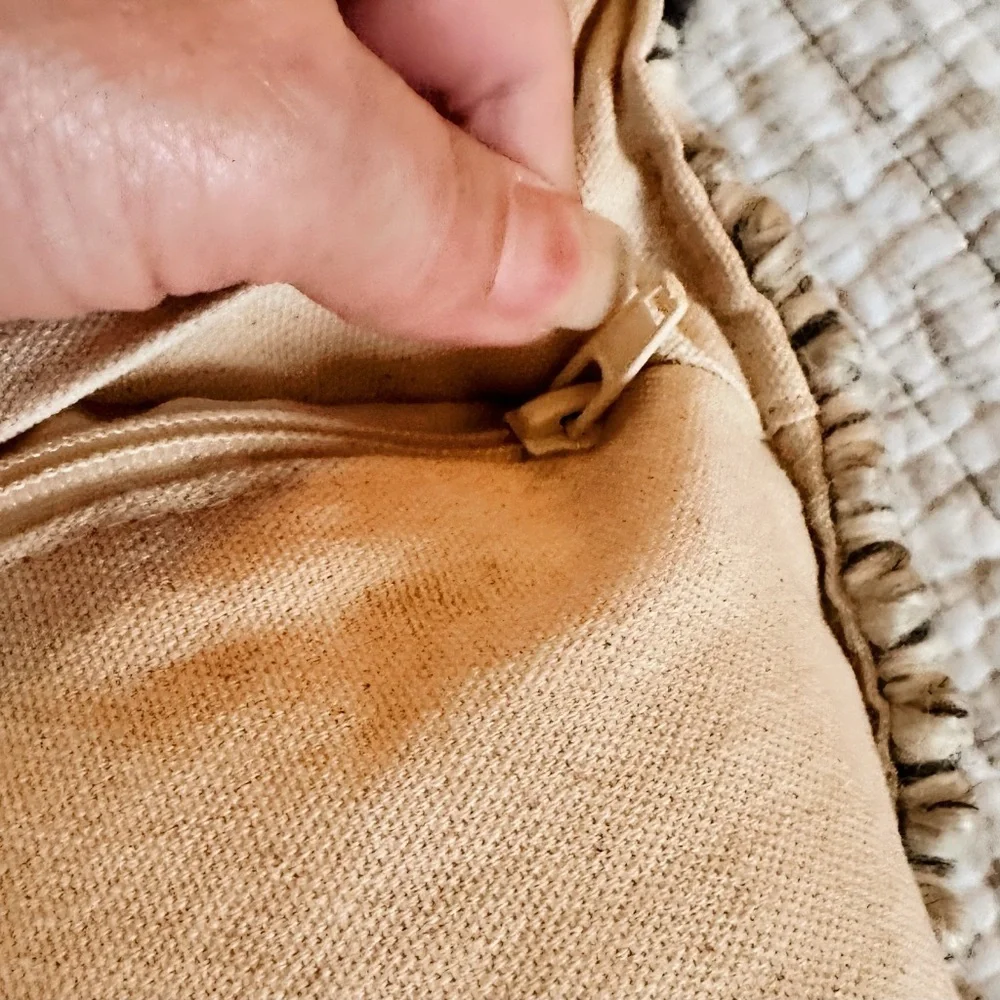 Indoor Outdoor Pillows from Wayfair with Cases and Down Pillow inserts (2 avail)
